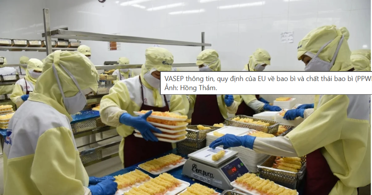 Lộ trình sẵn sàng PPWR cho doanh nghiệp bao bì: Những việc cần làm từ hôm nay