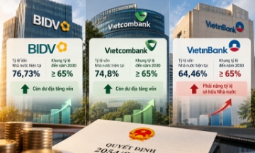 VnBusiness