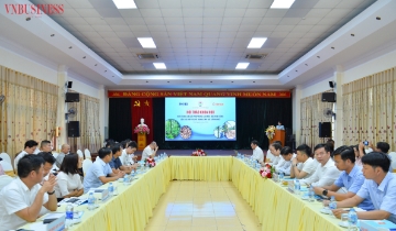 HTX lâm nghiệp mất cơ hội tăng gấp 3 lần lợi nhuận vì bán gỗ thô