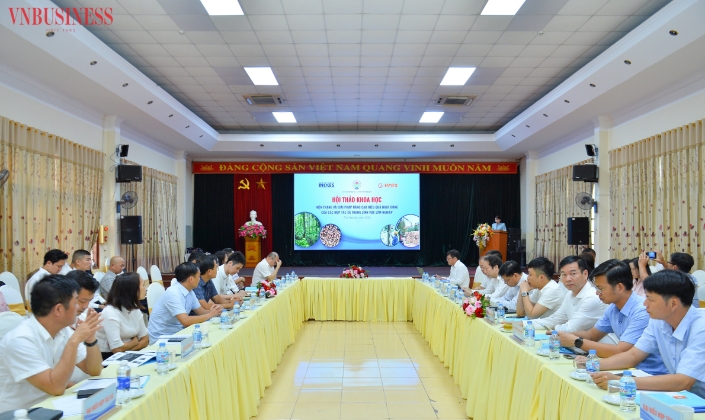 HTX lâm nghiệp mất cơ hội tăng gấp 3 lần lợi nhuận vì bán gỗ thô