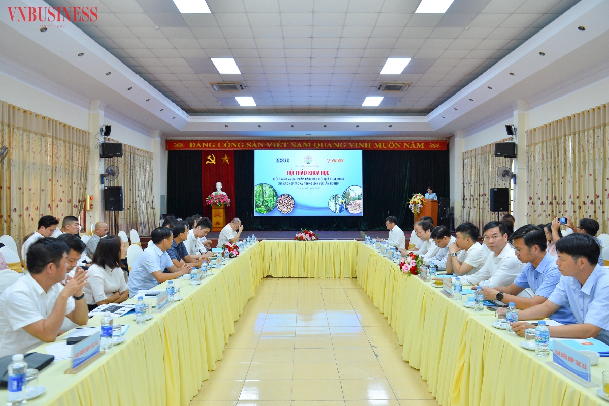 Toàn cảnh Hội thảo.