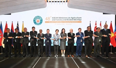 Hội nghị Bộ trưởng Nông Lâm nghiệp ASEAN lần thứ 48 khai mạc tại Singapore.
