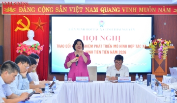 Chủ tịch Liên minh HTX Việt Nam nhấn mạnh giá trị thực chất của HTX điển hình