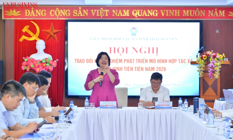 Chủ tịch Liên minh HTX Việt Nam nhấn mạnh giá trị thực chất của HTX điển hình