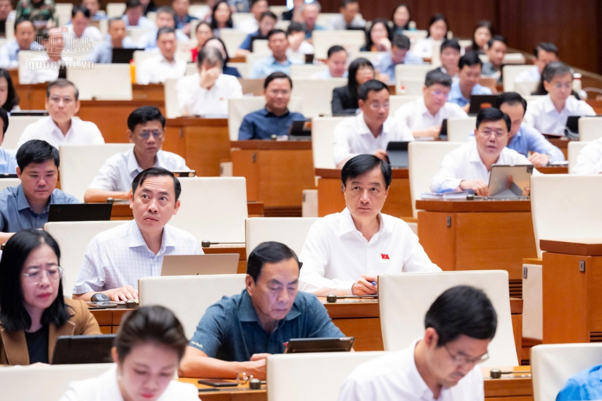 Các đại biểu Quốc hội tham dự Phiên thảo luận. (Ảnh:Quochoi.vn)