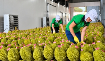 Trung Quốc giảm thủ tục đăng ký thực phẩm, tăng kiểm soát sau đăng ký